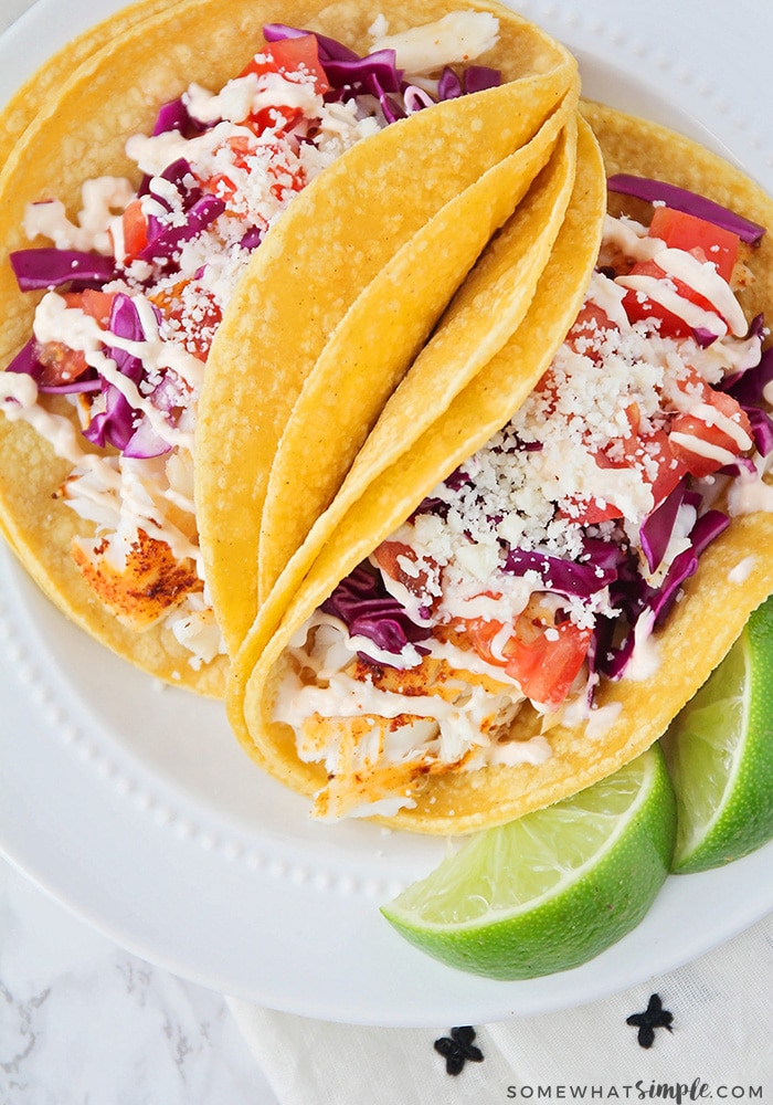 looking down on a white plate with two tilapia fish tacos topped with tomatoes, taco sauce, cheese and lettuce