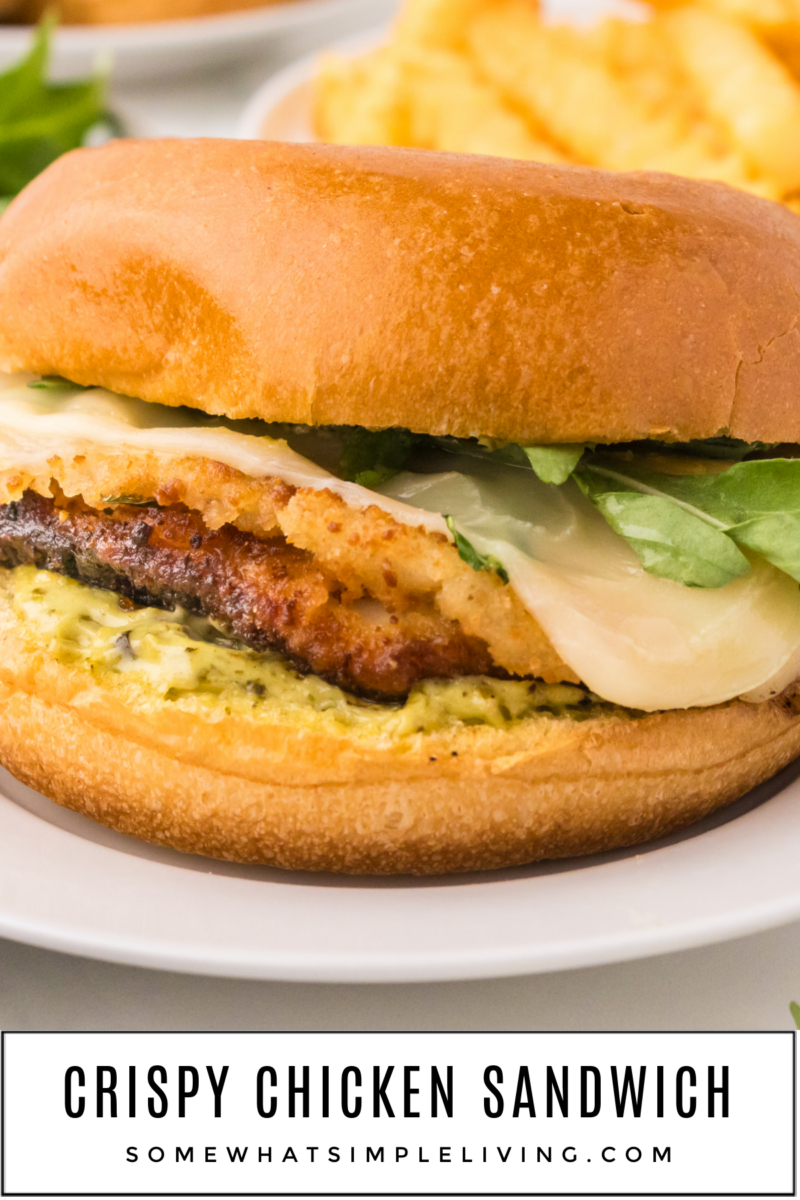 long image of a finished chicken sandwich