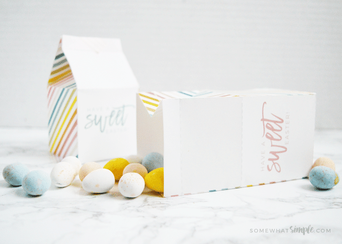 EASTER GIFT IDEA – MILK CARTON TREAT BOXES! by SOMEWHAT SIMPLE