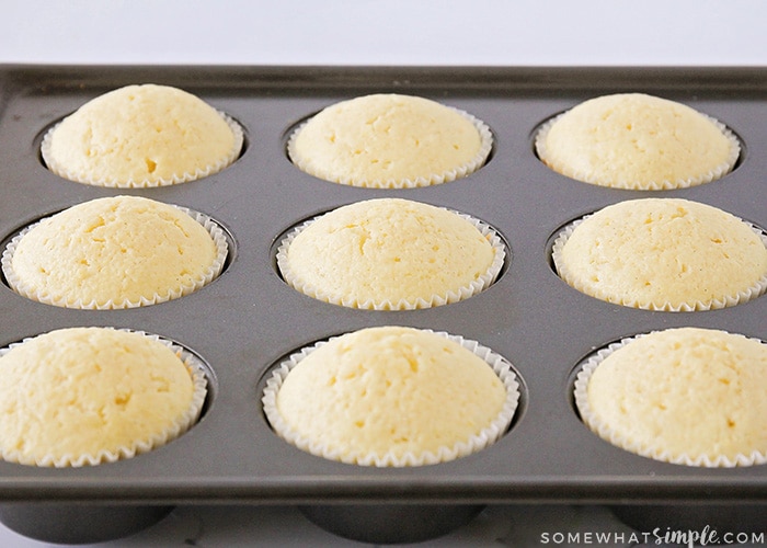 freshly baked cupcakes in a pan