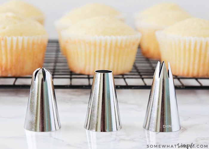 different piping tips to frost cupcakes