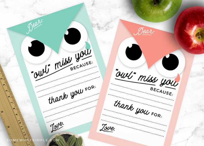 20ct Thank You Cards Owl Teacher - PAPYRUS