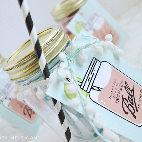 Mason Jar Gift Tags (Free Printable) | from Somewhat Simple