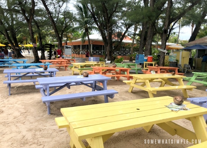 Things to do in the Cayman Islands