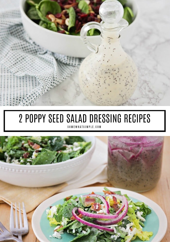 Making your own poppy seed dressing is the perfect way to kick your salad game up a notch! With two different versions, you can enjoy a creamy poppy seed dressing or a vinaigrette. Both are super simple to make and taste amazing! #dressing #poppyseedvinaigrette #dressingrecipe #salad #saladdressing #poppyseed #creamypoppyseeddressing #poppyseedsaladdressing via @somewhatsimple