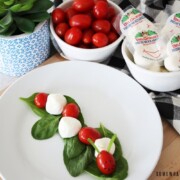 caprese bites made with cherry tomatoes and mozzarella balls forming a caterpillar on a bed of lettuce