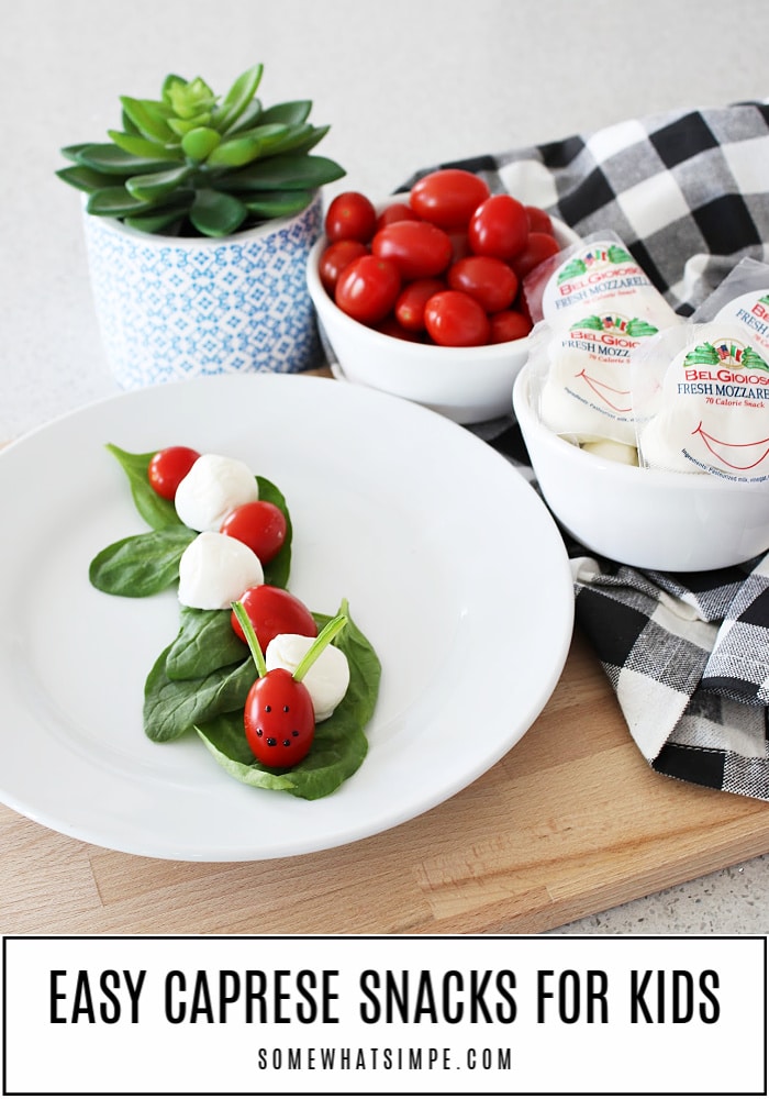 Caprese Bites are a fresh and fun snack or appetizer that taste delicious! The classic flavors of tomato and mozzarella arranged in the shape of a caterpillar for added entertainment that your kids will love! #caprese #capresebites #capresebitesrecipe #snackforkids #caterpillar #tomato #mozarella #capresebiteswithbalsamic via @somewhatsimple