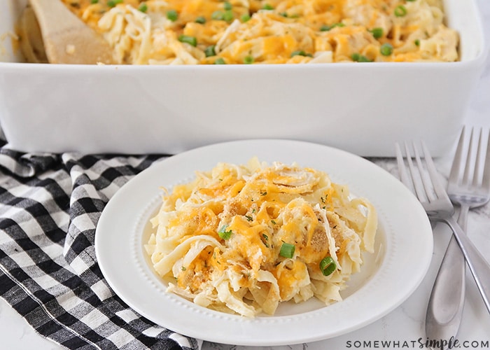 a white plate of Chicken Tetrazzini with a pan of chicken tetrazzini behind it that was baked in a white casserole dish