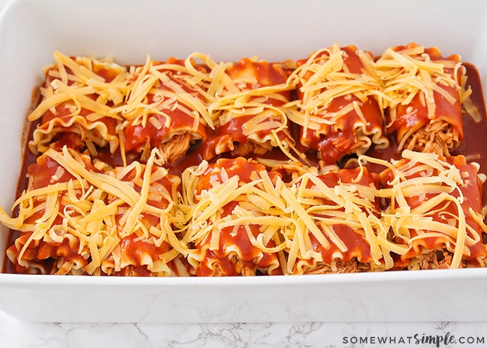 Enchilada Lasagna Rolls