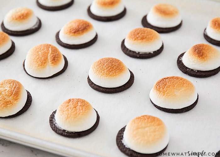 How to Make Thin Mints Smores