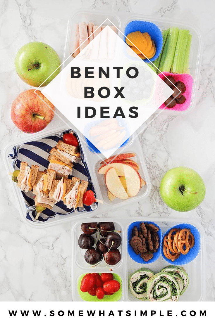 Bento Box - 15 Bento Boxes for Kids - Somewhat Simple