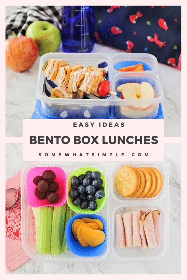 Grab a bento box and get ready to create the cutest lunch your kids ever did see! Here are 15 bento box recipes for kids! #bento #bentobox #bentoboxlunch #bentolunch #cutelunch #lunchforkids #backtoschool via @somewhatsimple