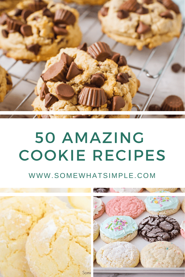 Everyone has their favorite cookie recipes, but you just might find your newest addiction on the list below. We're sharing 50 favorite cookie recipes from blogs we LOVE! From chocolate chip cookies, to sugar cookies, to cake mix cookies and everything in between. There's a recipe you're definitely going to love! #easycookierecipes #bestcookierecipes #homemadecookierecipes #sugarcookies #cakemixcookies via @somewhatsimple