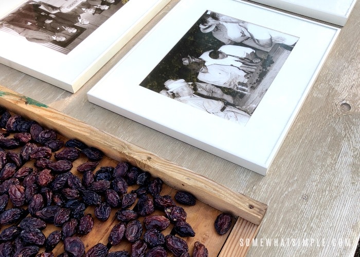 California Dried Prunes