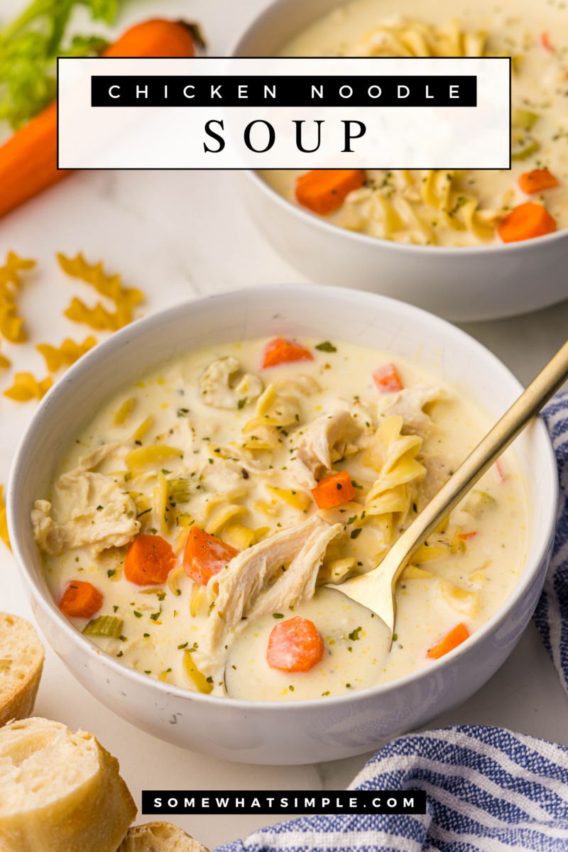 beauty shot of Crockpot Creamy Chicken Noodle Soup