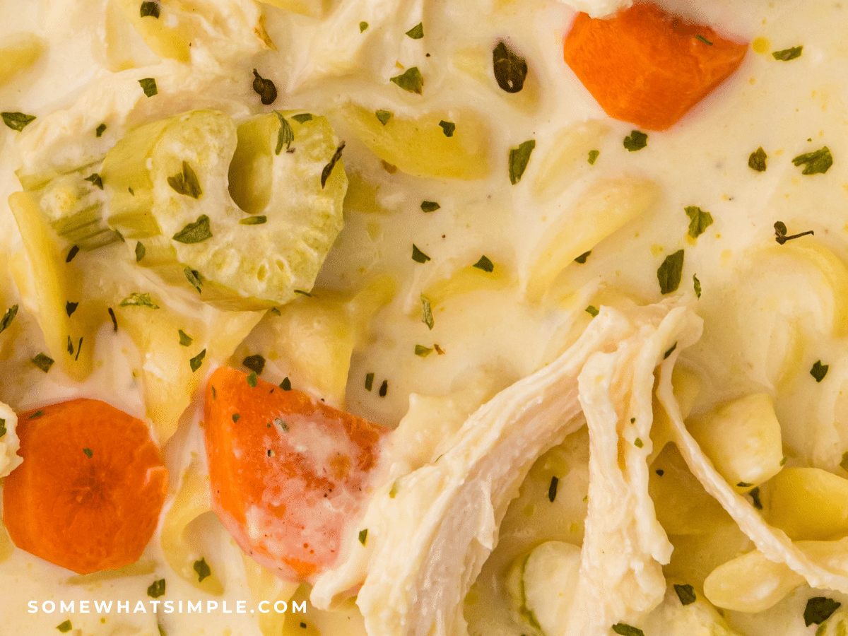 close up of Crockpot Creamy Chicken Noodle Soup