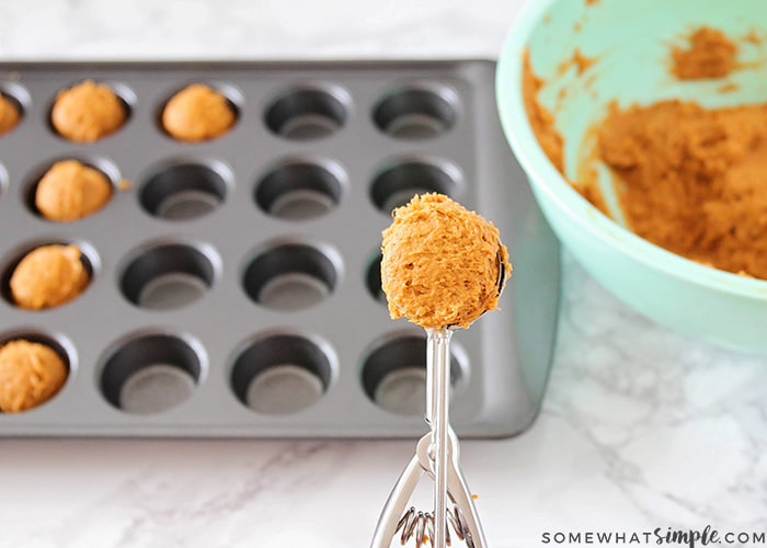 a scoop filled with pumpkin cookie batter being held over a mini muffin tin