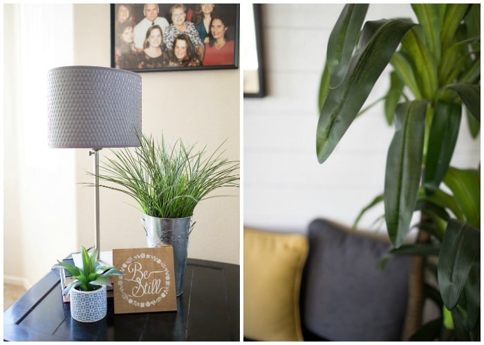 Adding plants to apartment decor