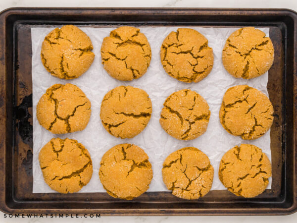 ginger sandwich cookies on a baking sheet fresh out of the oven