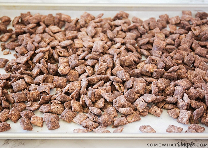 chocolate muddy buddy chex mix made with pumpkin and without peanut butter spread out on a cookie sheet