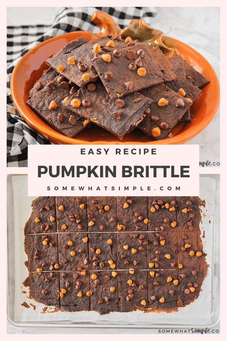 Pumpkin brownie brittle is an easy fall dessert recipe that will satisfy your sweet tooth. The rich chocolate flavor with a crisp cookie crunch is simply irresistible. #pumpkinbrittle #pumpkindessertidea #pumpkinbrittlerecipe #homemadebrowniebrittle #pumpkinspicebrowniebrittle via @somewhatsimple