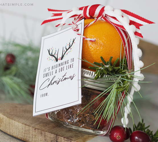christmas stove top potpourri gift