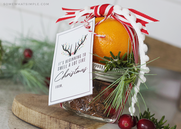 Inexpensive Gift Idea: CHRISTMAS SCENT Simmering Potpourri