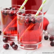 Non Alcoholic Holiday Punch with fresh cranberries