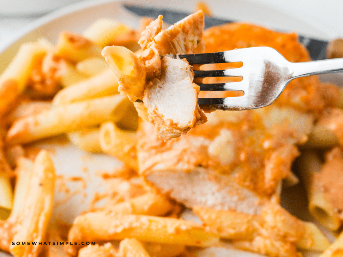 close up of Cheesy Chicken Tomato Pasta on a fork