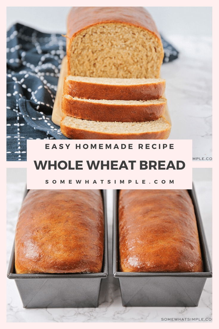 If you love gourmet bread that's easy to make and tastes amazing, this simple Whole Wheat Bread Recipe is just for you! I promise, you can't screw this recipe up. #healthywholebread #homemadebread #easywholewheatbread #homemadewheatbread #howtomakehomemadebread via @somewhatsimple