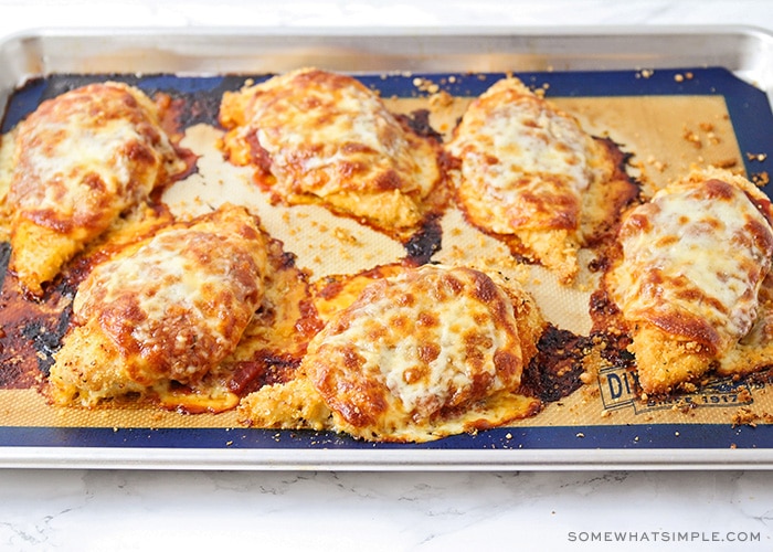 six breasts of chicken premesan with melted cheese on a baking sheet that were returned to the oven to melt the cheese and warm the marinara sauce