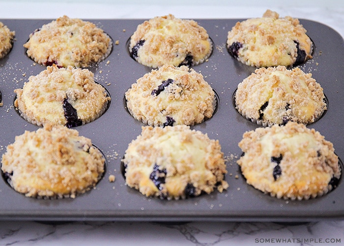 muffin pan filled with fresh baked blueberry muffins