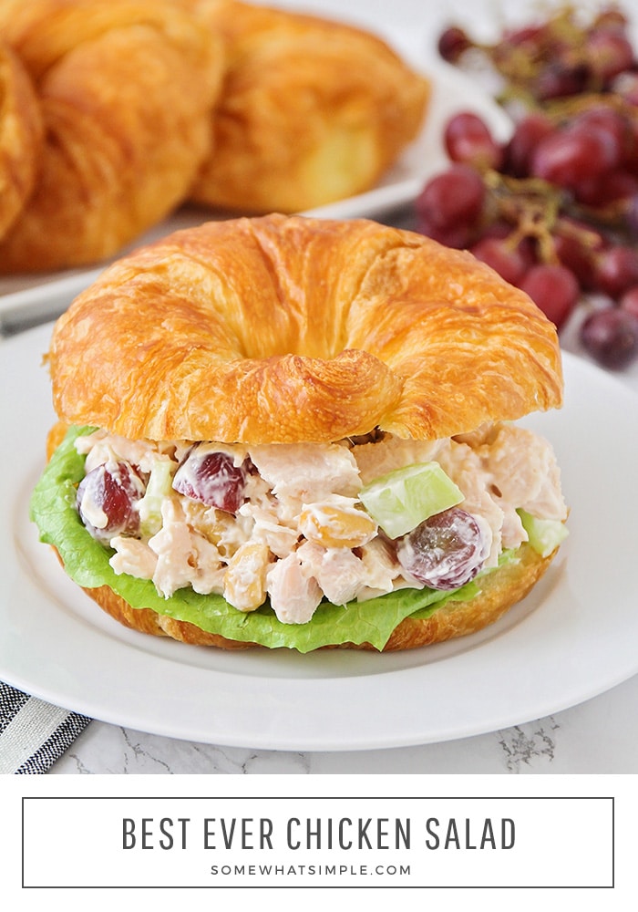 This chicken salad sandwich recipe is made with grapes, cashews and is stuffed between buttery croissant rolls. They are light and delicious and perfect to eat year round! #chickensaladsandwich #chickensaladsandwichwithgrapes #easychickensaladsandwich #chickensaladsandwichrecipe #healthychicensaladsandwich via @somewhatsimple