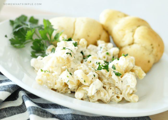 a plate with a serving of macaroni covered in a white sauce with two dinner rolls next to it 