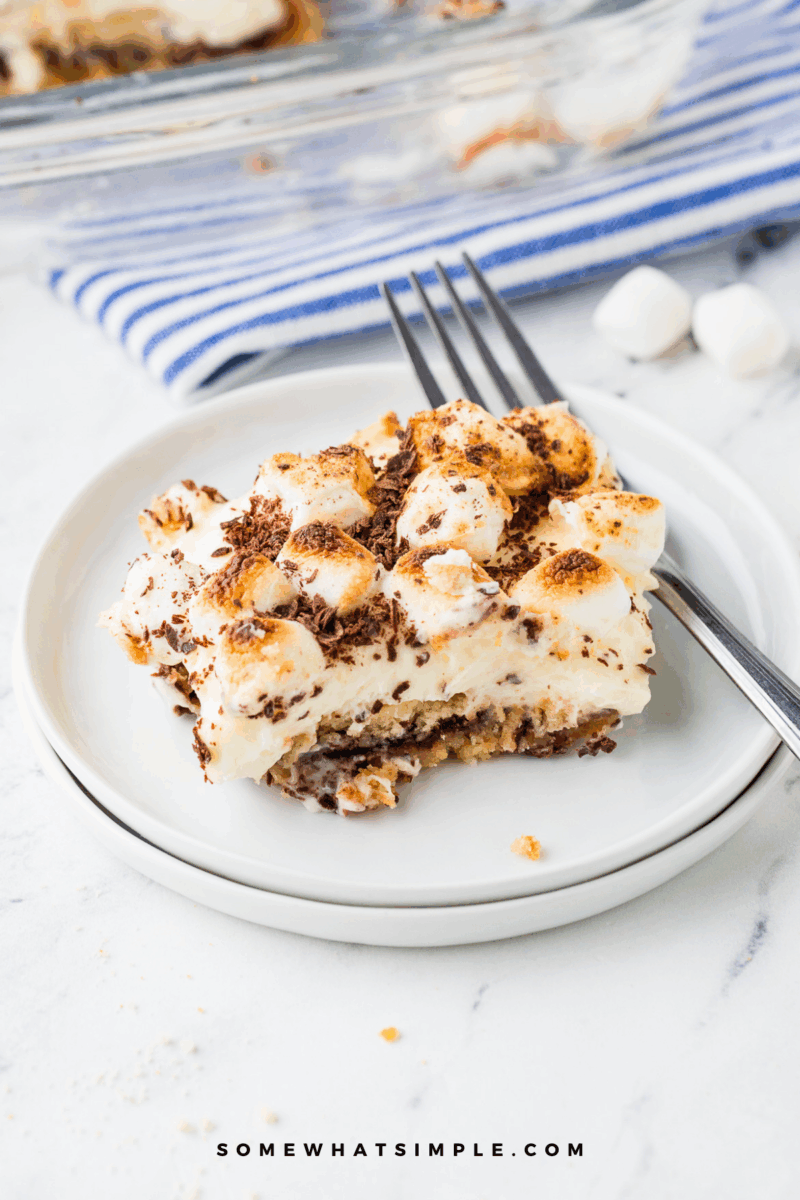 long image of Smore's Dessert Squares close up and plated