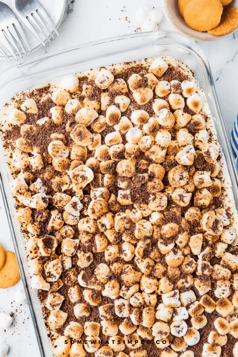 overhead shot of a pan of Smore's Dessert Squares