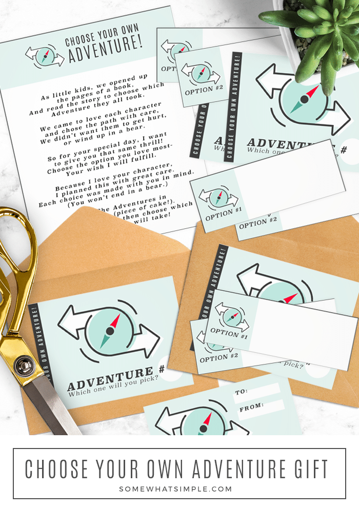 Choose Your Own Adventure Thoughtful Birthday Gift Somewhat Simple