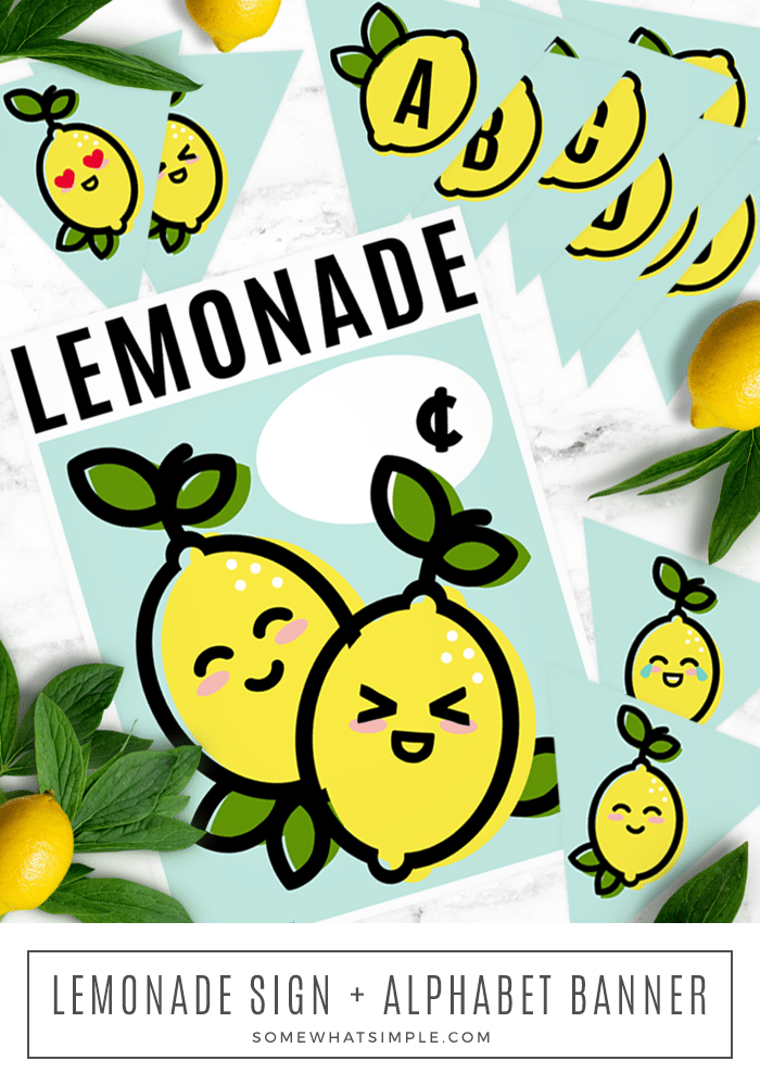 Set up the cutest lemonade stand in the neighborhood with our darling pack of printables!  The printable pack includes both a lemonade stand sign displaying the price as well as a banner to hang from your stand. via @somewhatsimple