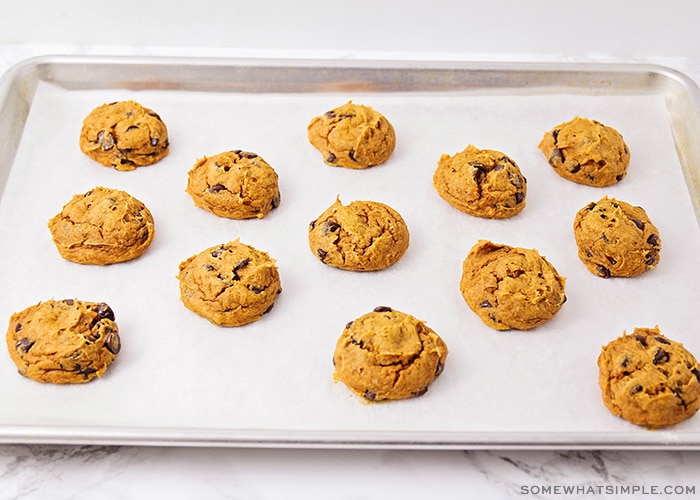 a batch of pumpkin cookies made with cake mix and chocolate chips on a baking sheet fresh from the oven