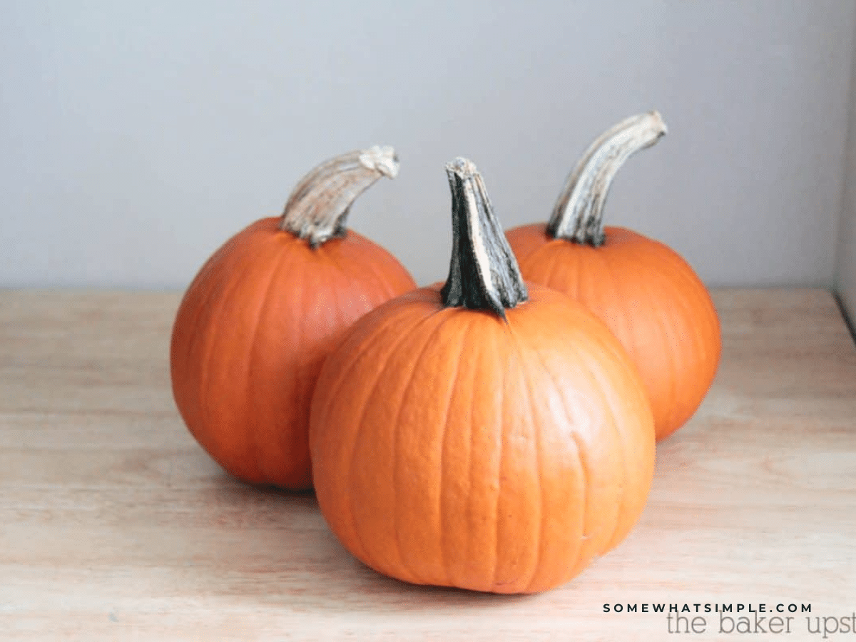 3 pumpkins needed to make Pumpkin Puree