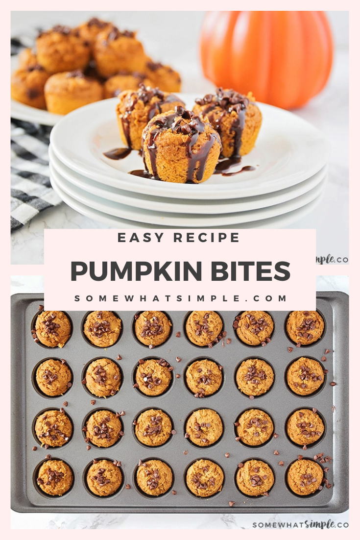 These Pumpkin Cookie Bites are made with only 3 ingredients and are ready in just 10 minutes! They are super easy to make and turn out soft and delicious every time! They're a simple fall dessert that can be enjoyed anytime! via @somewhatsimple