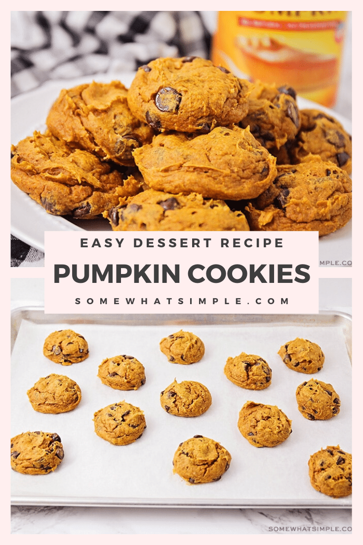 Welcome in the cool fall weather with these cake mix pumpkin chocolate chip cookies! With only 3 ingredients, they are easy to make and taste DELICIOUS! #pumpkinchocolatechipcookies #cakemixpumpkincookies #easy3ingredientpumpkincookies #cakemixpumpkinchocolatechipcookies #cakemixpumpkinchocolatechipcookiesrecipe via @somewhatsimple