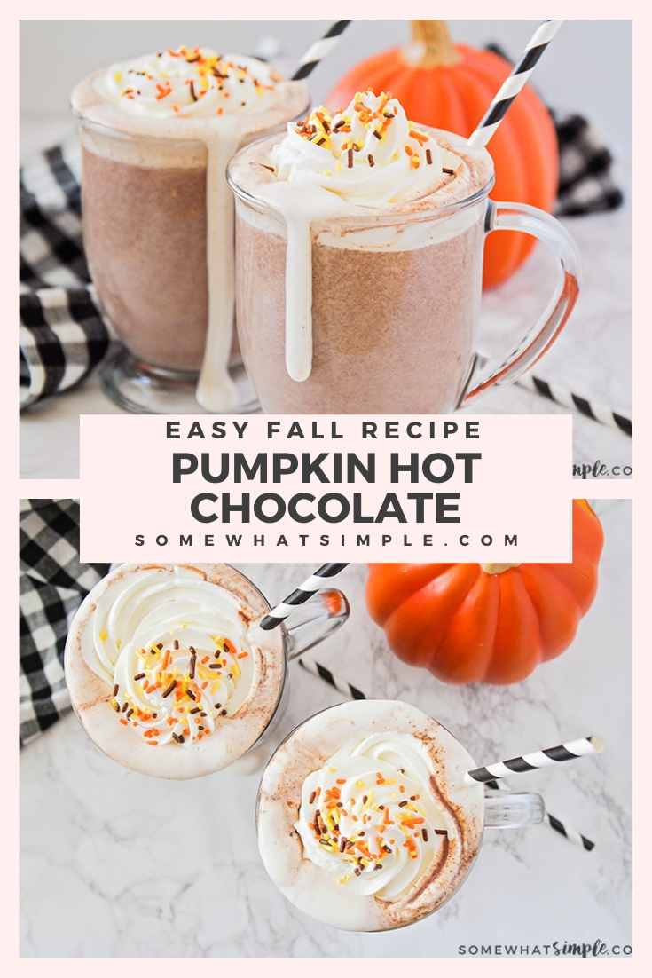 This rich and flavorful pumpkin spice hot chocolate is the perfect cozy treat to enjoy this fall! It's made totally from scratch and tastes amazing! There's nothing better in the fall than the delicious combination of chocolate and pumpkin flavors. via @somewhatsimple