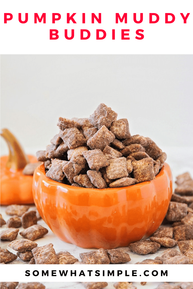 These delicious pumpkin muddy buddies are made with cookie butter, chocolate, and a little pumpkin spice. This is a perfect fall treat for those who want to enjoy a delicious muddy buddy treat without peanut butter.  Watch out, your life is about to get a whole lot sweeter!#pumpkinMuddyBuddiesRecipe #chocolatepumpkinChexMixrecipe #pumpkinmuddybuddypuppychow #howtomakepumpkinmuddybuddies #chexmixpumpkinpuppychow #muddybuddieswithoutpeanutbutter via @somewhatsimple