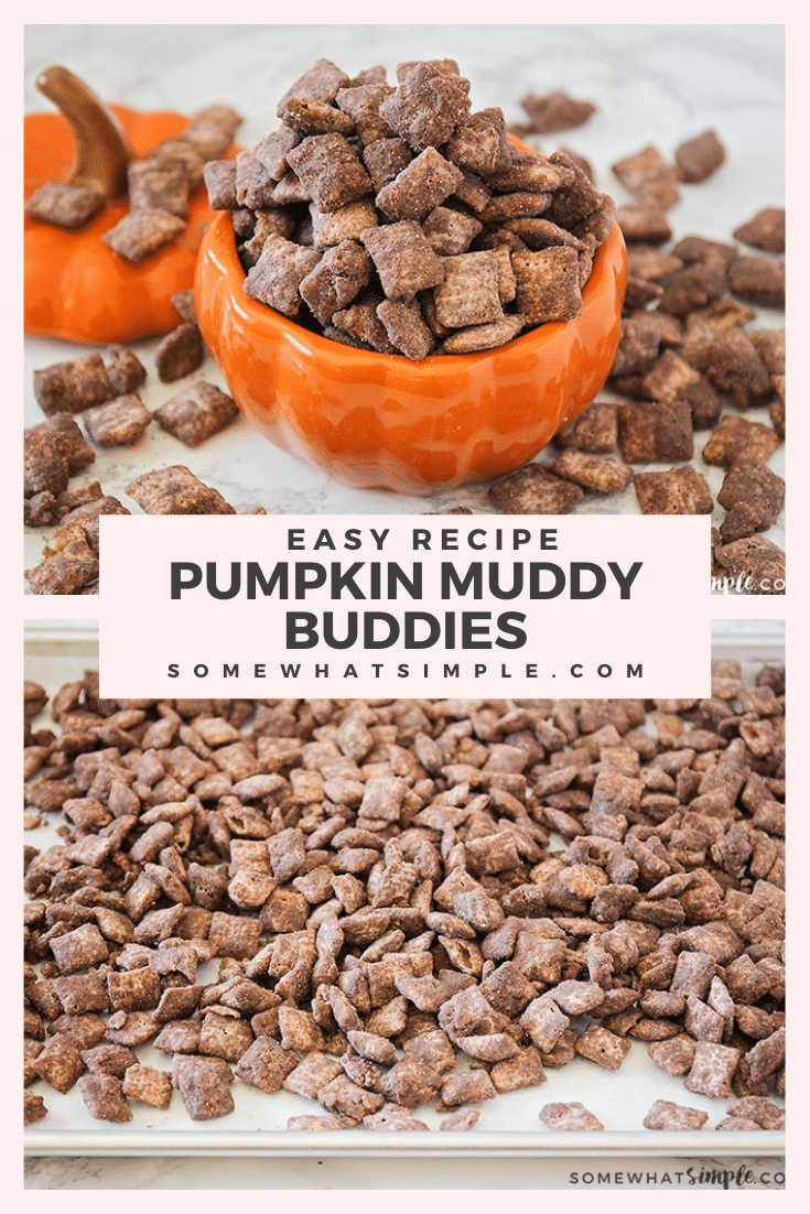 These delicious pumpkin muddy buddies are made with cookie butter, chocolate, and a little pumpkin spice. This is a perfect fall treat for those who want to enjoy a delicious muddy buddy treat without peanut butter.  Watch out, your life is about to get a whole lot sweeter!#pumpkinMuddyBuddiesRecipe #chocolatepumpkinChexMixrecipe #pumpkinmuddybuddypuppychow #howtomakepumpkinmuddybuddies #chexmixpumpkinpuppychow #muddybuddieswithoutpeanutbutter via @somewhatsimple