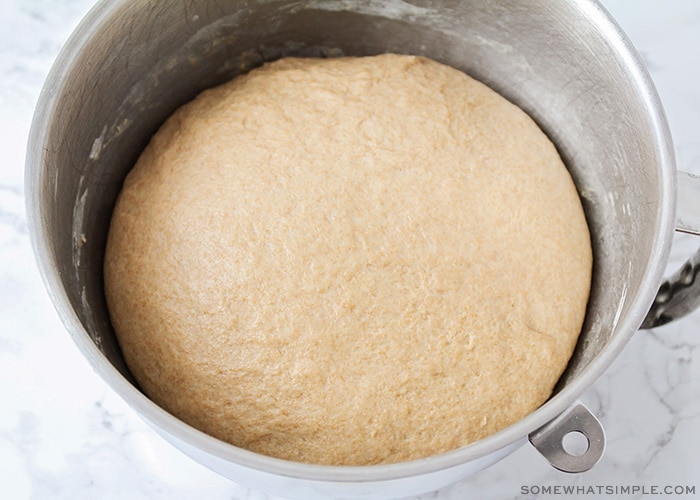 bread dough beginning to rise in a mixing bowl
