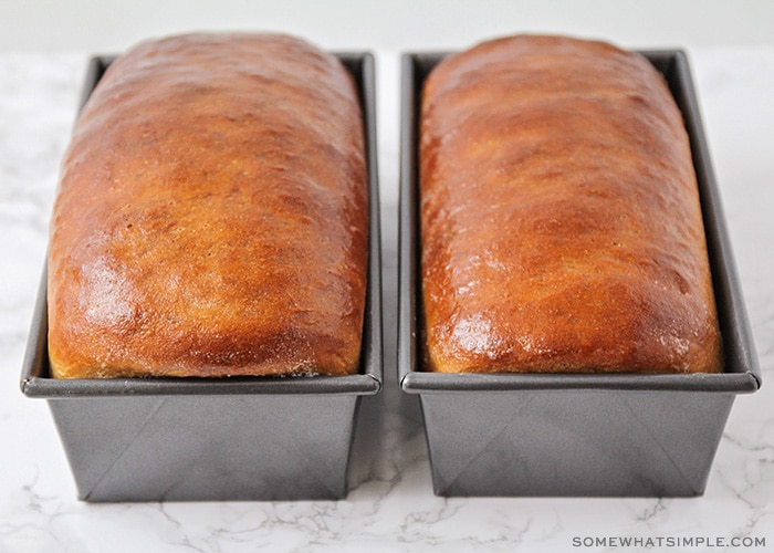 2 freshly baked loaves of whole wheat bread