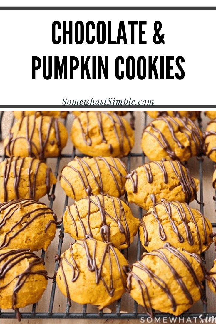 Grab a tall glass of milk and get ready for these amazing and super easy chocolate glazed pumpkin cookies! Made from scratch, these cookies turn out soft and fluffy every time. It's the perfect fall cookie recipe that you won't be able to stop eating. #chocolateglazedpumpkincookies #chocolateglazedpumpkincookierecipe #easypumpkincookies #pumpkincookiesfromscratch #pumpkinchocolatecookies via @somewhatsimple