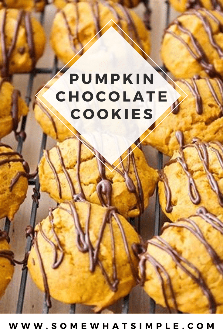 Grab a tall glass of milk and get ready for these amazing and super easy chocolate glazed pumpkin cookies! Made from scratch, these cookies turn out soft and fluffy every time. It's the perfect fall cookie recipe that you won't be able to stop eating. #chocolateglazedpumpkincookies #chocolateglazedpumpkincookierecipe #easypumpkincookies #pumpkincookiesfromscratch #pumpkinchocolatecookies via @somewhatsimple