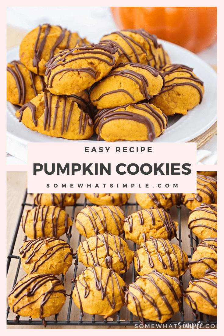 Grab a tall glass of milk and get ready for these amazing and super easy chocolate glazed pumpkin cookies! Made from scratch, these cookies turn out soft and fluffy every time. It's the perfect fall cookie recipe that you won't be able to stop eating. #chocolateglazedpumpkincookies #chocolateglazedpumpkincookierecipe #easypumpkincookies #pumpkincookiesfromscratch #pumpkinchocolatecookies via @somewhatsimple